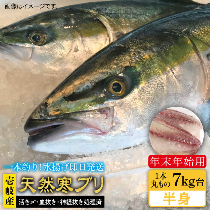 【ふるさと納税】【11/1〜1/15お届け 年末年始用】天然 寒ブリ（一本丸ものサイズ7キロ台の半身ブロック） 《壱岐市》【壱岐島　玄海屋】[JBS021] ぶり 寒ぶり ブリ 魚 刺身 しゃぶしゃぶ 95000 95000円 のし プレゼント ギフト 冷蔵配送