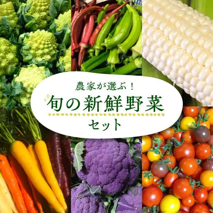 農家が選ぶ！ 旬の新鮮野菜セット[VBE002]産直 野菜 やさい 詰め合わせ