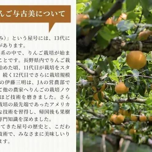 豊水 約5kg 2026年 産地直送 信州産 梨 豊水