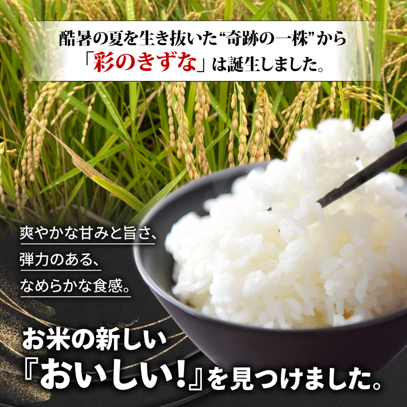 【予約】令和6年産 米 玄米 10kg (5kg×2袋) 彩のきずな