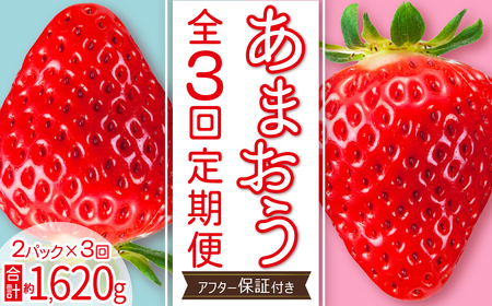 【 あまおう 定期便 全3回】福岡県産あまおう 約270g 前後 ×２パック いちご イチゴ あまおう 福岡限定 ブランド 果物 フルーツ ストロべリー スイーツ ケーキ パフェ スムージー ジャム 国産 福岡県 東峰村 お取り寄せ 送料無料 3S20
