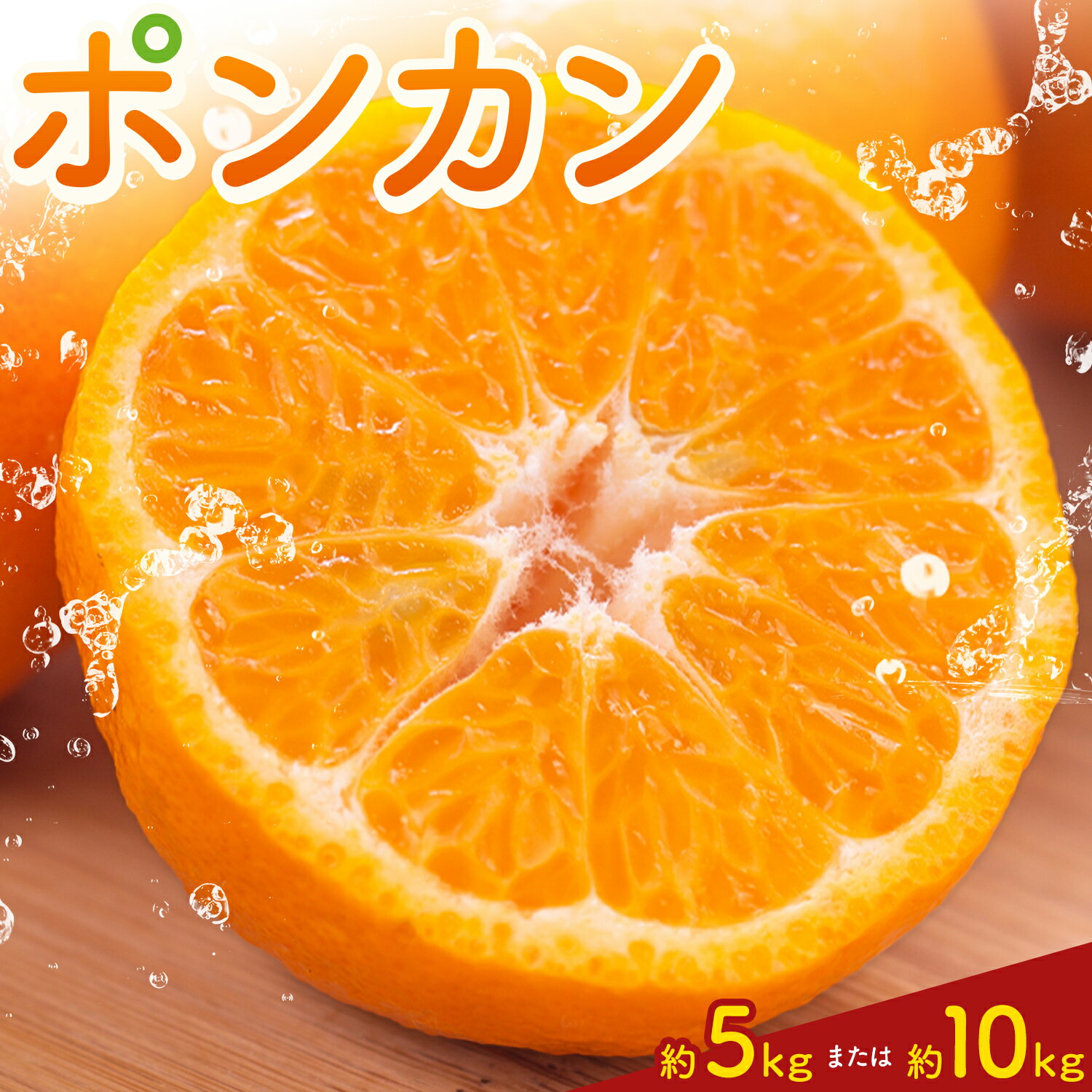 【ふるさと納税】ポンカン5kg または 10kg 高橋商店《12月上旬-2月中旬頃出荷》熊本県 苓北町 柑橘 かんきつ 果物 フルーツ ポンカン