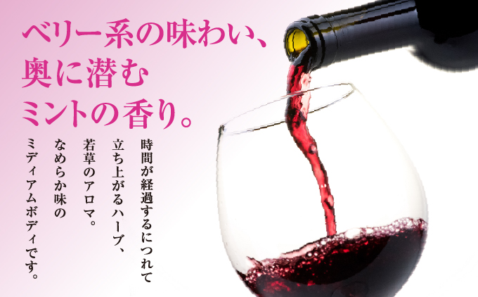 「奥尻ワイン」 OKUSHIRI メルロー (赤) ミディアムボディ 1本 750ml 奥尻ワイナリー | ミディアム 生ワイン スパイシー ワイン 日本ワイン 国産ワイン ご当地ワイン 産直 産地直送 お取り寄せ | 北海道 奥尻町 送料無料 OKS08-005