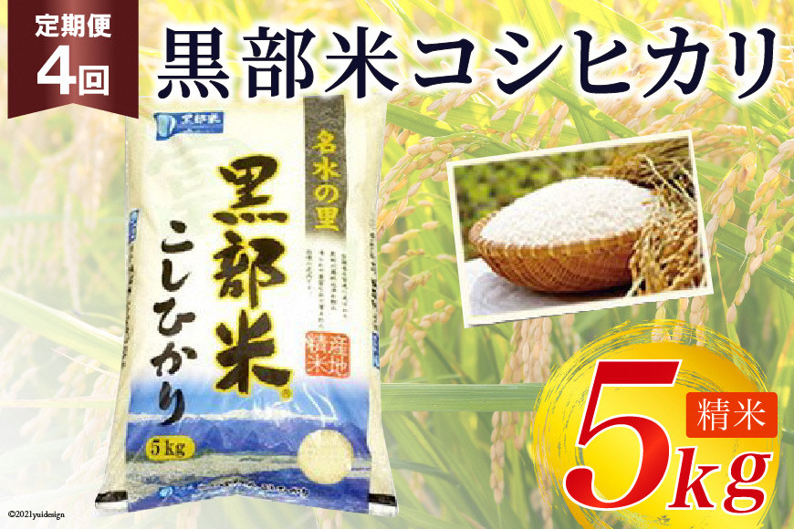 
[№5313-0035]定期便 米 黒部米 コシヒカリ 5kg×4回 総計20kg 精米 白米 こしひかり お米 /黒部市農業協同組合/富山県 黒部市
