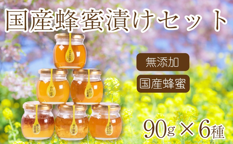 
                  はちみつ 国産 蜂蜜漬け セット 540g(90g×6種) 山口県産 下関
                