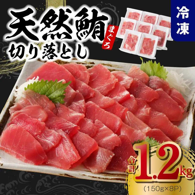 天然まぐろ 切り落とし 1.2kg（150g×8P）｜訳あり まぐろ 一人暮らし 小分け