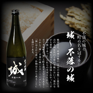 ＜【先行予約】令和7年産 木城町・毛呂山町 新しき村友情都市コラボ日本酒２種３本セット（城２本・Alabanza１本）＞ K21_0038