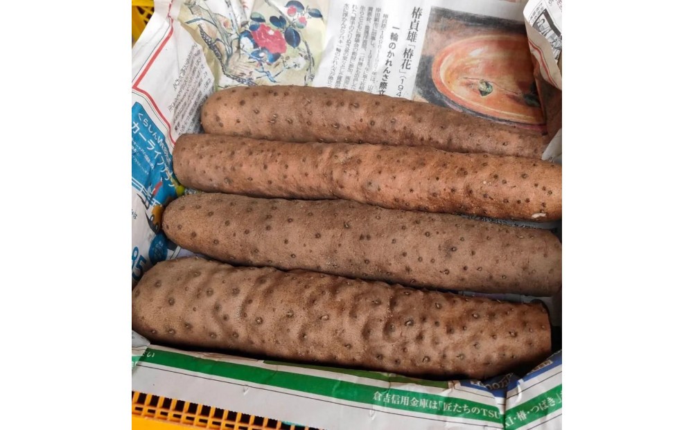 
                  【鳥取県産】粘り抜群！ねばりっこ 10kg
                