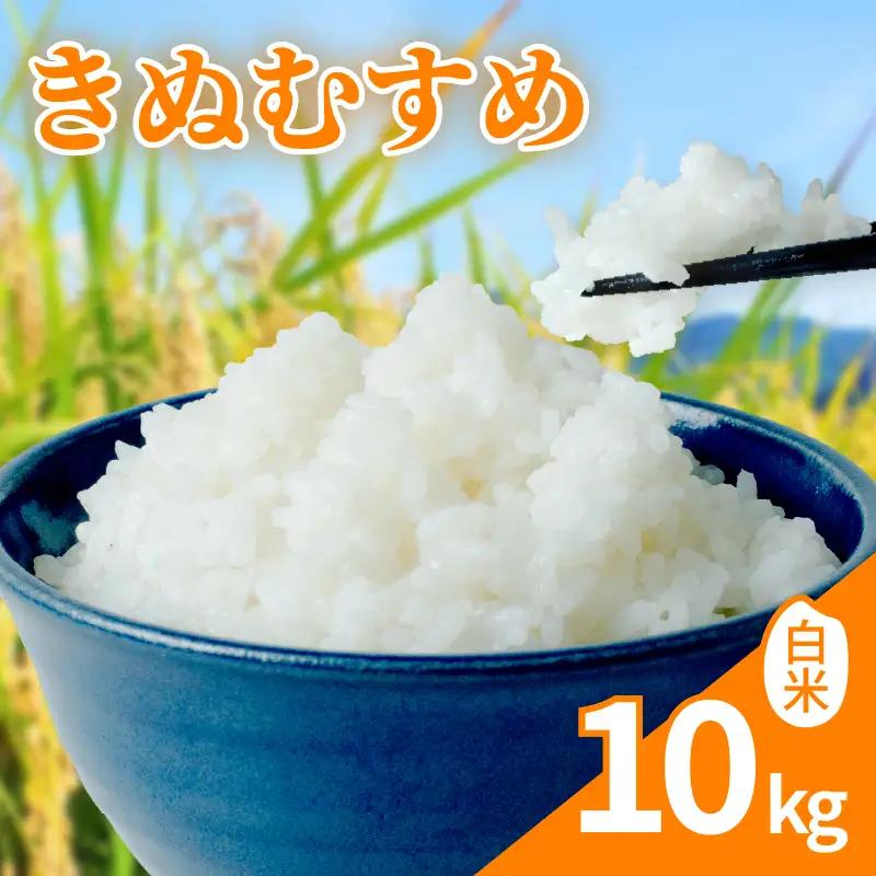 【新米】 令和8年産 先行予約 「きぬむすめ」 10kg ｜ 新米