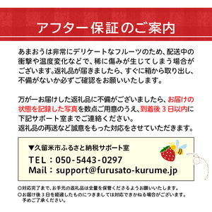 【予約受付中】エコファーマー　あまおう（2023年12月～順次発送）300ｇ×4パック_Fi014_いちご あまおう 300g×4パック 計1200g 大粒 濃厚な甘さ エコファーマー スイーツ デザ