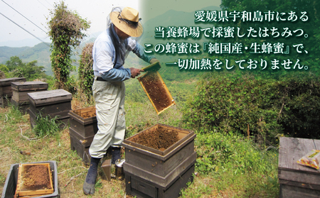 百花蜜 500g ギフト箱入 元気や 非加熱 はちみつ 国産はちみつ 百花蜂蜜 純粋はちみつ 生はちみつ 生蜂蜜 蜂蜜 ハニー ギフト プレゼント 贈答用 数量限定 産地直送 国産 愛媛 宇和島 はち