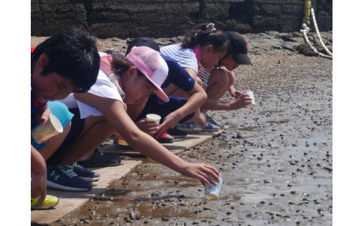 牧島地区まちづくり運営協議会の活動を応援！【思いやり型返礼品（協賛型）】 O014