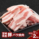 【ふるさと納税】宮崎県産豚バラ焼肉 - 500g/1kg/1.5kg/2kg 豚肉 焼き肉用 バラ肉 脂身が美味しい 豚ばら 送料無料 【宮崎県木城町】