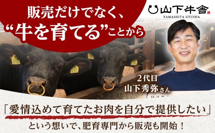 佐賀牛 ヒレ ステーキ 300g（100g×3枚）【山下牛舎】[HAD166] 牛肉 肉 ヒレ フィレ ステーキ ヒレステーキ
