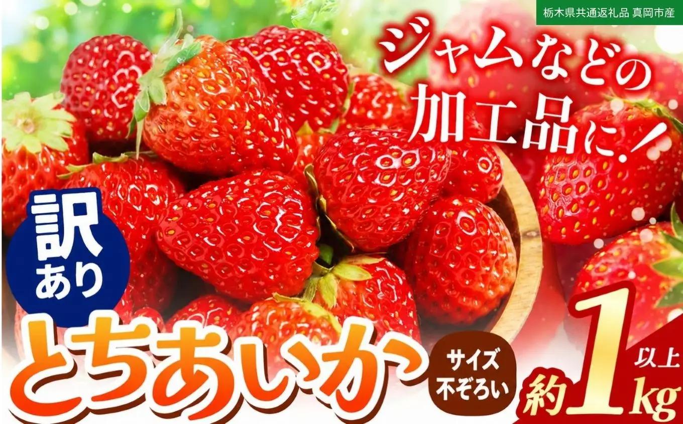 苺 いちご【訳あり】サイズランダム とちあいか 約1000g【栃木県共通返礼品 真岡市産】TT 栃木県 下野市