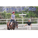 【ふるさと納税】天城ホースビレッジ 施設利用券 ショートレッスン20分　【体験チケット】