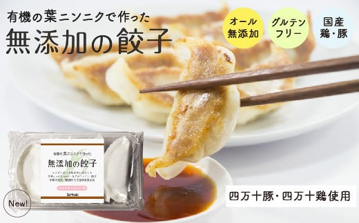 有機 葉 ニンニク と 四万十 豚 で作った 最高級 餃子 （ 4パック 4人前 ）ぎょうざ ギョウザ にんにく 高知 野菜 EA0272