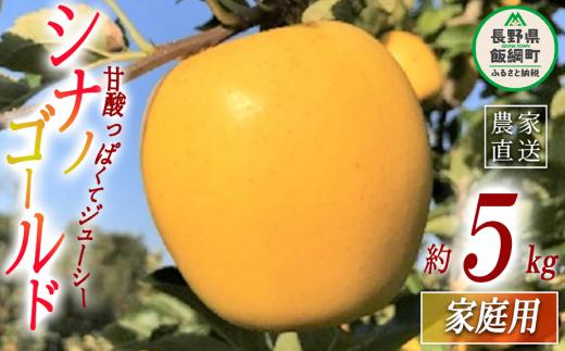 りんご シナノゴールド 家庭用 5kg ファームトヤ 沖縄県への配送不可 2024年11月中旬頃から2024年12月下旬頃まで順次発送予定 令和6年度収穫分 信州 果物 フルーツ リンゴ 林檎 長野 