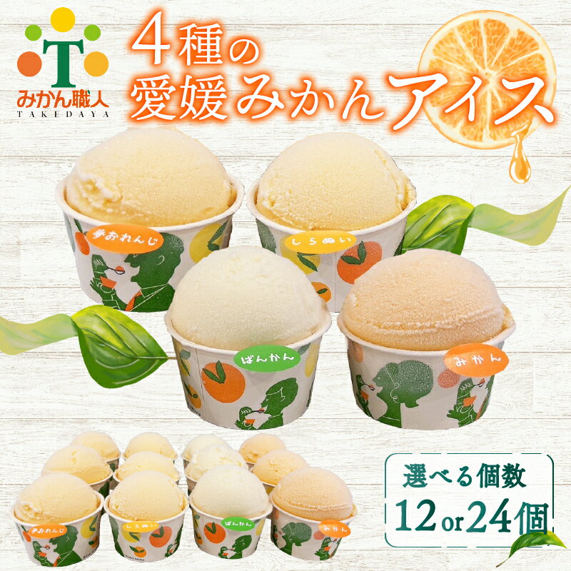 【ふるさと納税】 4種の愛媛柑橘カップアイス 食べ比べ 容量 12個/24個 各65ml (夢オレンジ 河内晩柑 愛媛みかん 不知火) シャーベット ジェラート カップアイス アイスクリーム デコポン フルーツ 柑橘 氷菓 温州みかん 果物 果実 みかん職人武田屋 愛媛県 愛南町)