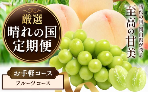 晴れの国からお届け! 晴れの国 定期便 お手軽コース フルーツコース シャインマスカット 桃 フルーツ ふるさと納税 定期便 フルーツ 定期