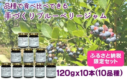 ブルーベリー好きに贈る！ 10品種のブルーベリージャム食べ比べセット【ふるさと納税限定】120ｇ×10本　栽培期間中農薬不使用