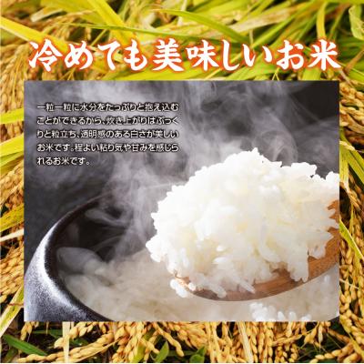 ふるさと納税 むつ市 青森県産米　5kg |  | 01