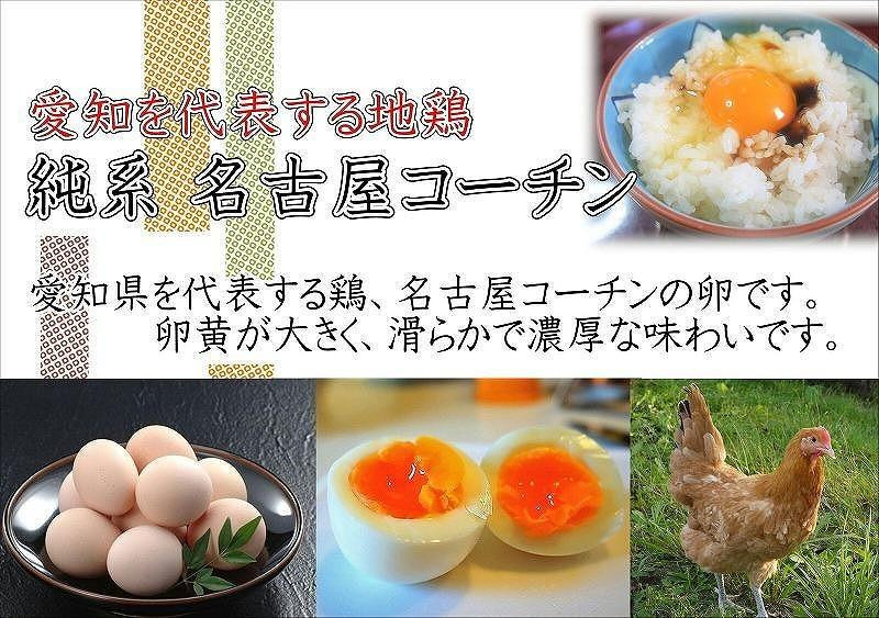 
日本三大地鶏!! 「純系 名古屋コーチンの卵」（30個）　本当に美味しい食べ物は調味料の味に負けません！
