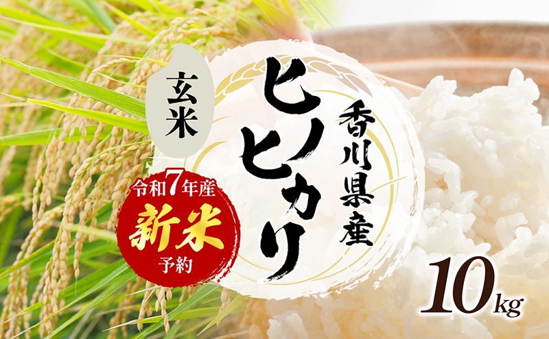 令和7年産　新米「ヒノヒカリ」10kg（玄米） お米 10kg 