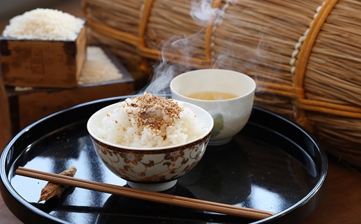 【3カ月定期便】京丹波こしひかり・きぬひかり 食べ比べセット 10kg×3カ月連続 合計30kg 京都 米 精米 コシヒカリ ※北海道・東北・沖縄は配送不可 [045MB002R]