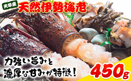 天草産 天然伊勢海老 一尾（半身カット×２個） 海鮮 海産物 海の幸 シーフード 海老 エビ えび 伊勢海老 熊本県 苓北町 天草 天草漁業協同組合苓北支所《90日以内に出荷予定(土日祝除く)》