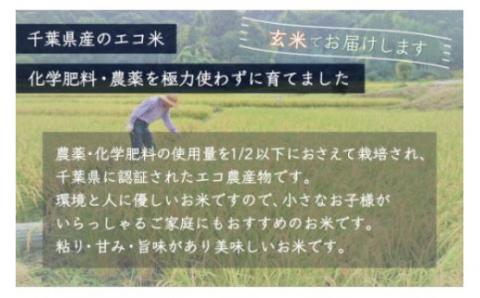 令和5年産 千葉県産エコ米「コシヒカリ」玄米10kg（10kg×1袋） A014