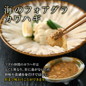 大分カワハギ【匠】刺身セット (刺身30g×4皿、肝・身皮10g×4皿、ポン酢4個) カワハギ かわはぎ 刺身 肝 身皮 切身 切り身 ポン酢 ぽん酢 鮮魚 冷凍 養殖 国産 大分県 佐伯市 フジテレ