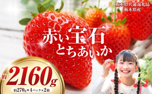 【先行予約】赤い宝石「とちあいか」約270g×4P×2箱|  選べる いちご 苺 とちあいか デザート ご褒美 美味しい 甘い フルーツ ジューシー 【栃木県共通返礼品】 栃木県 那珂川町 送料無料