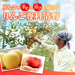 《先行予約》贈答規格「サンふじ」「ラ・フランス」「はるか」約5kg詰合せ（特秀～秀）【2024年12月上旬頃～発送予定】【大江町産・山形りんご・りんご専科 清野哲生】 015-065