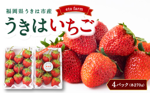 eto farm のうきはいちご 2品種 (270g×4パック) 2025年2月1日から2月28日 出荷予定