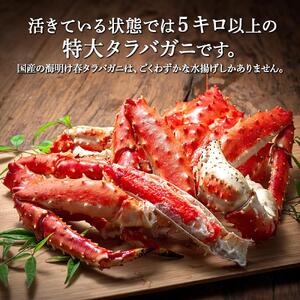 かに太郎の厳選便　タラバガニ3.5kg　毛ガニ800g×２| 毛ガニ_03506