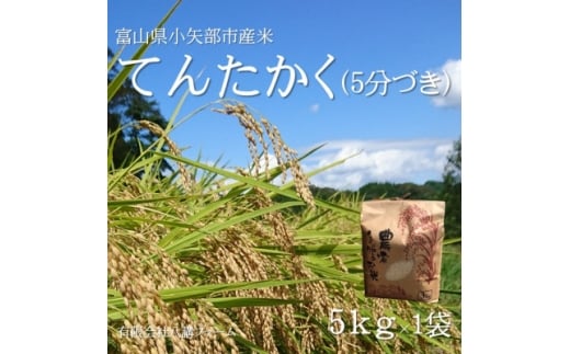 ＜2025年9月上旬頃から順次発送＞令和7年産米「てんたかく」(5分づき)5kg×1袋【1655818】