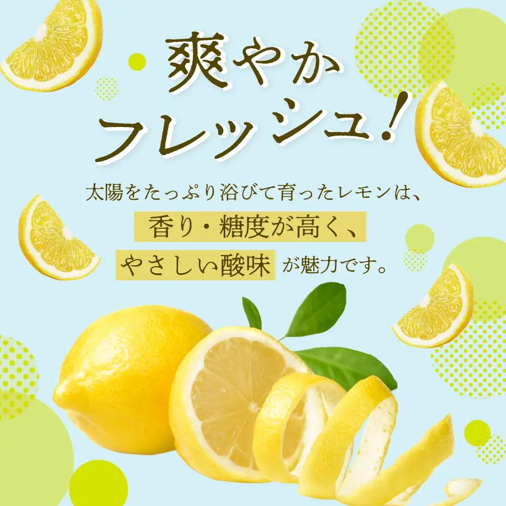 【先行受付】【2026年11月上旬～発送】国産檸檬（レモン）発祥の地　広島大長檸檬　2.5kg 産地直送 お取り寄せ ビタミンC 優しい酸味 爽やかな香り ku012-013-26