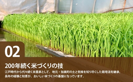 つや姫【先行予約】新米5kg 精米