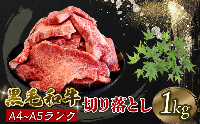 焼肉 切り落とし 1kg 牛肉 和牛 部位お任せ 黒毛和牛 A5 焼肉用 大きさ不揃い 切落し ブランド牛 阿波牛 阿波華牛