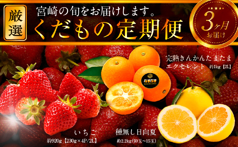 《2026年発送先行予約》【数量・期間限定】青果店厳選！「3ヶ月お届け！くだもの定期便Vol.3」_M153-T023