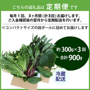 【爬虫類用】【定期便3回】 季節の葉っぱ詰め合わせ セット 約 300g 葉