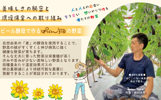 【 早期受付 8回 定期便 】 旬な野菜セット 約5種類 とれたて 新鮮 ぱっくん畑のおくりもの 農家直送 国産 野菜 やさい 高知県 高知 四万十市 四万十 しまんと 野菜便 産地直送 【2026年