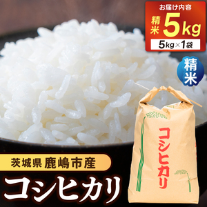 先行予約 令和8年産 米 コシヒカリ 5kg 精米 鹿嶋市産