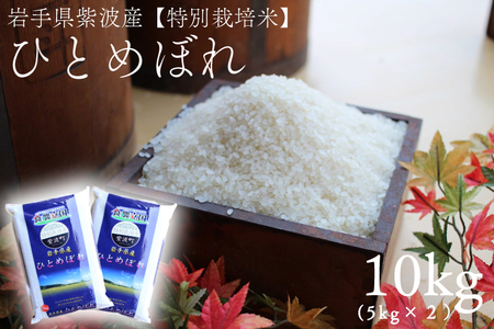 【特別栽培米】★令和6年産★ひとめぼれ10kg（5kg×2袋）岩手県紫波町産おこめ (AD051)