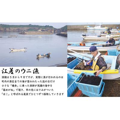 ふるさと納税 江差町 ★2025年分先行受付★江差前浜産 生うに 1kg 海洋深層水パック(無添加・みょうばん不使用) |  | 03