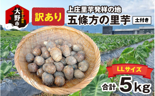 【先行予約】上庄里芋発祥の地 五條方の里芋 LLサイズ土付（秀・優）混合5kg【11月中旬から順次発送】