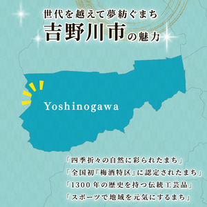 【 返礼品なし 500,000円  】 徳島県 吉野川市 への 寄附 応援寄附金