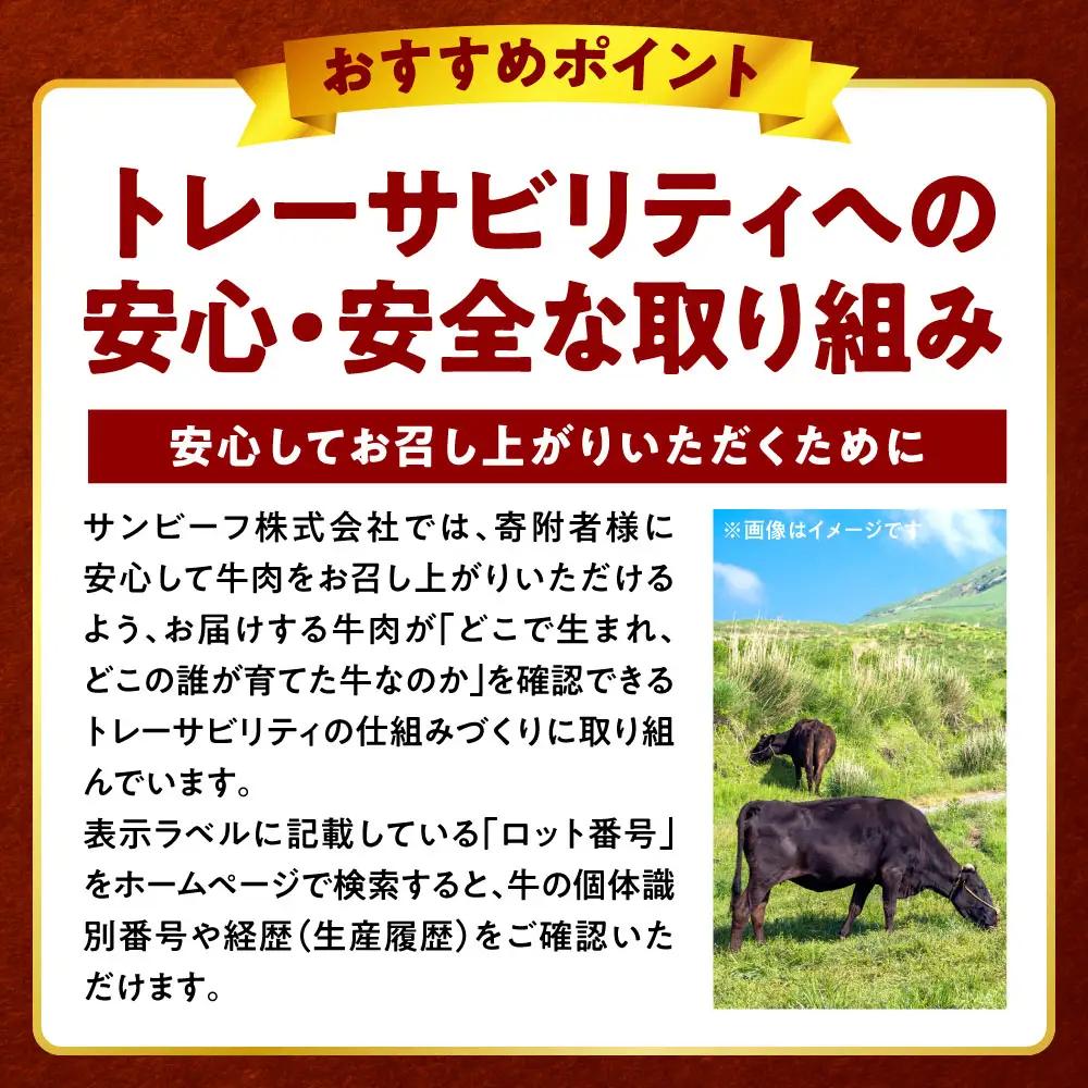 牛肉 【訳あり】くまもと黒毛和牛 切り落とし 合計500g (250g×2パック) 牛肉 肉