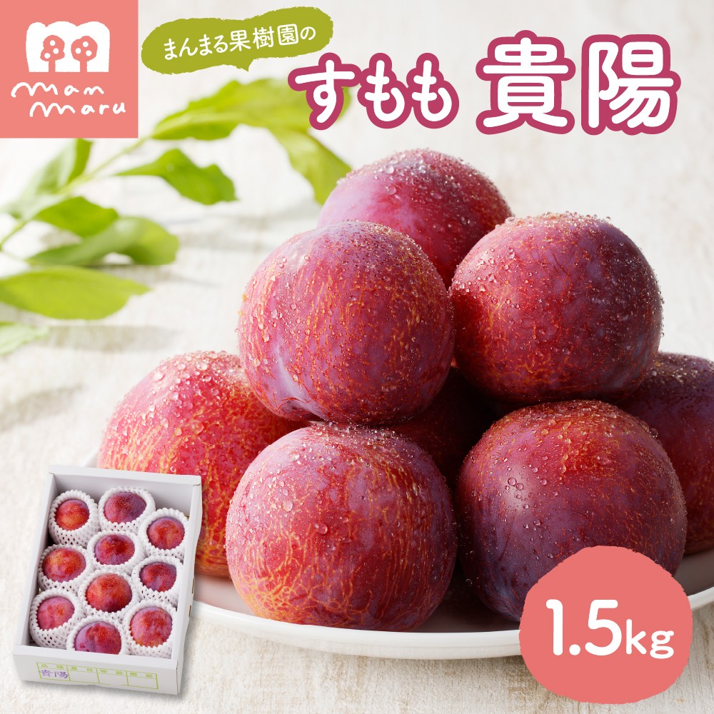 
                  すもも（貴陽）１.５ｋｇ　0055-2607
                
